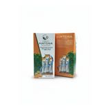 CURELIVE Matcha Sandaloz Sakızı Altın Çilek Bromelain ve Yeşil Çay İçeren Toz 20 steak poşet