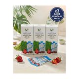 CURELIVE Matcha Spirulina Çehri Yeşil Çay Bromelain İçeren Çilek Aromalı Detox Burner Form Maça Çayı 20'li 3 Kutu