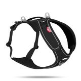 Curli Belka Harness Adjustable Neck Siyah 3XL Köpek Göğüs Tasması