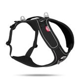 Curli Belka Harness Adjustable Neck Siyah XL Köpek Göğüs Tasması