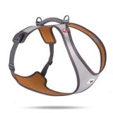 Curli Glow Belka Harness 2XL Gri Köpek Göğüs Tasması