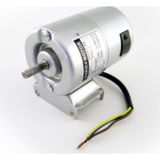Çuvalağzı Motor C01028