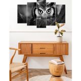 CVC WOOD Baykuş 5 Parçalı Mdf Tablo