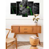 CVC WOOD Kedi 5 Parçalı Mdf Tablo