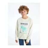 Cw Kids Ekru Bisiklet Yaka Erkek Çocuk Sweatshirt