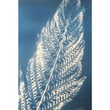Cyanotype fern print journal - notebook, dotted graph paper journal, sketchbook, 6x9, list journal: writing with the moon