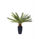 Cycas Ağacı Dekoratif Bitki 78cm