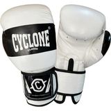 Cyclone Tiger Orijinal Deri Boks ve Kick Boks Eldiveni (Beyaz, 12 oz)