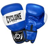 Cyclone Tiger Orijinal Deri Boks ve Kick Boks Eldiveni