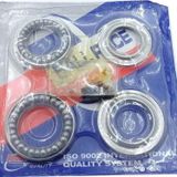 Cygnus Rs125 Uyumlu Furs Takımı