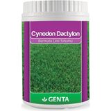 Cynodon Dactylon Bermuda Çim Tohumu 500 gr