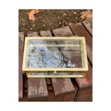 Cyz Home Gold Çerçeveli Cam Sunumluk Kapaklı Sandık, Çikolata Şeker Ve Takı Kutusu 25x15cm