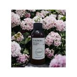 D-Aurora Fragrance 100 ml Pro Mac Deneb Koku Makinası Diffuser Esans Yağı