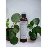 D-Aurora Fragrance 250 ml Pro Mac Alya Koku Makinası Diffuser Esans Yağı