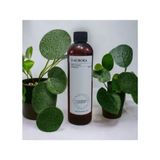 D-Aurora Fragrance 250 ml Pro Mac Asterion Koku Makinası Diffuser Esans Yağı