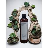 D-Aurora Fragrance 250 ml Pro Mac Atria Koku Makinası Diffuser Esans Yağı