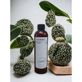 D-Aurora Fragrance 250 ml Pro Mac Capella Koku Makinası Diffuser Esans Yağı