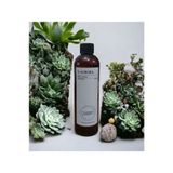 D-Aurora Fragrance 250 ml Pro Mac Naos Koku Makinası Diffuser Esans Yağı
