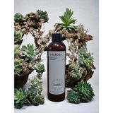 D-Aurora Fragrance 250 ml Pro Mac Navi Koku Makinası Diffuser Esans Yağı