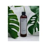 D-Aurora Fragrance 250 ml Pro Mac Regulus Koku Makinası Diffuser Esans Yağı