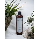 D-Aurora Fragrance 250 ml Pro Mac Sadalsuud Koku Makinası Diffuser Esans Yağı
