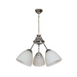 D-Light Tulu 3'lü Avize