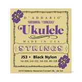 D'addario EJ53C Pro-Arte Concert Ukulele Teli