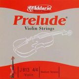 Daddario J813 Keman Tek Tel | Prelude (Re-D), 4/4 Medium