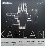 Daddario Kaplan Vivo 4/4 Keman Teli
