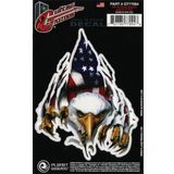 D'Addario Planet Waves Rip N Tear Eagle GT77094 Gitar Sticker