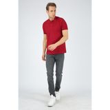 Dafron Classic Polo Yaka Pike Bordo Erkek T-shirt