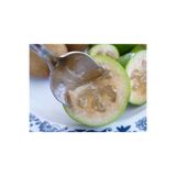Daglioglu Fidancilik Feijoa (KAYMAK AĞACI) Fidanı Tüplü 3 Yaş ( 50 Cm)