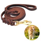 DAIHAQIKO Deri Köpek Tasma Örgülü 1,2 m / 1,8 m Büyük Orta Küçük Irk Köpek Kahverengi Standart Evcil Hayvan Tasmaları için Ağır Hizmet Eğitimi (1,2 m x 1,8 cm, Kahverengi)