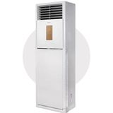 Daikin Daylux 48000 BTU/H Inverter Salon Tipi Klima