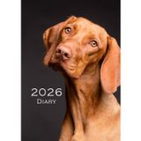 Daily diary 2026 [Gentle Soul] 365 Day: 12 Month planner, Calendar Yearly and Monthly, One page per day with time slots. Perfect for Office Schedule & School