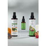 DAİLY DREAM CARE Care Hızlı Saç Uzatma Biberiye Serum Biberiye Tonik Saç Bakım Seti Daily Dream