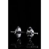 Daily Fitness Journal: Track Workouts, Set Goals, Build Healthy Habits, and Stay Motivated on Your Fitness Journey