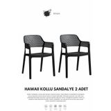 Daim Plastik HAWAİİ KOLLU BAHÇE SANDALYESİ 2Lİ SET