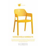 Daim Plastik HAWAİİ KOLLU BAHÇE SANDALYESİ