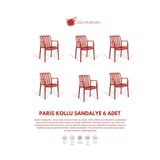Daim Plastik Paris 6 Adet Kollu Lux Cafe & Restaurant Sandalyesi