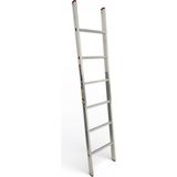 Daimer 2 Metre Tek Parça Alüminyum Merdiven - Gümüş Gri