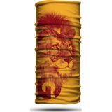 Dair King Desenli Motosiklet Bandana Boyunluk Outdoor Balaklava cok-renkli