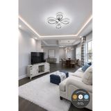 Daisy 4 Lü Krom Plafonyer Avize 3 Renkli Salon, Çocuk Odası, Mutfak Ve Antre İçin Şık Aydınlatma Gümüş