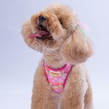 Daisy Air-Mesh Göğüs Tasması Kedi Köpek Göğüs Tasması Papatya Desenli Köpek Tasması - Pembe