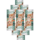 Daisy Premium 12x400 gr Yavru Kedi Konserve Maması + 3'lü Ödül Sticks