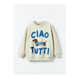 daisydolly Erkek Çocuk Pamuklu Baskı Detaylı Sweatshirt