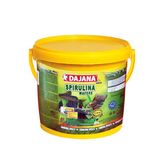 Dajana Mini Spirulina Wafers Kova 1.75 kg Balık Yemi