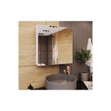 DAKORA HOME Monza Lavobo Üstü Aynalı Banyo Dolabı 50x50x15 Cm