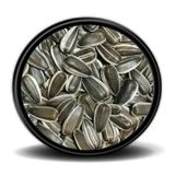 Dakota Çekirdek 500 G Papağan Yemi
