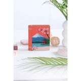 Daks Kitap Tasarımlı Mini Metal Saklama Kutusu 11x9x3 cm - Sakura Estetik Takı Aksesuar Düzenleyici